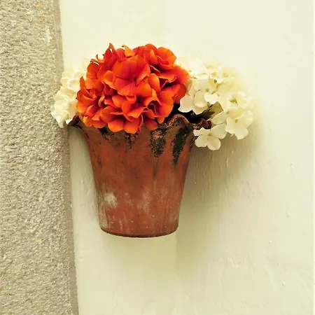 Casa Da Buganvilia Apartment *
